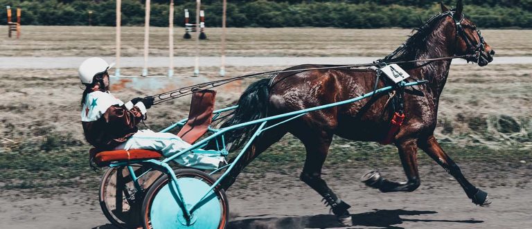 HRC LPI HORSEBETTING 4