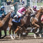 AI's Racing Edge: How New AI Prediction Models Affect Horse Race Betting Strategies 2026