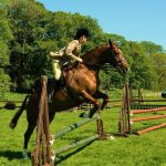 Malaysia's Best Live Horse Racing Odds Platforms 2026