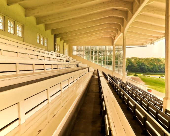 Race to Win: How to Analyze a Horse Racing Form Guide for Beginners 2026